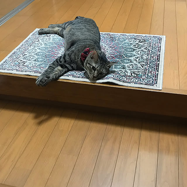 mikan161さんの実例写真