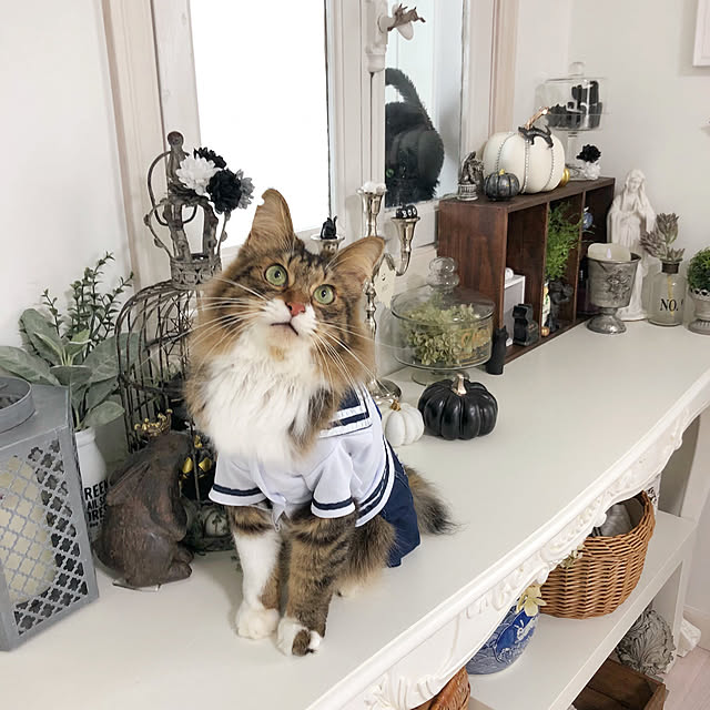 yuchiさんの実例写真