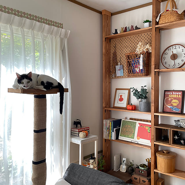 nobikoさんの部屋