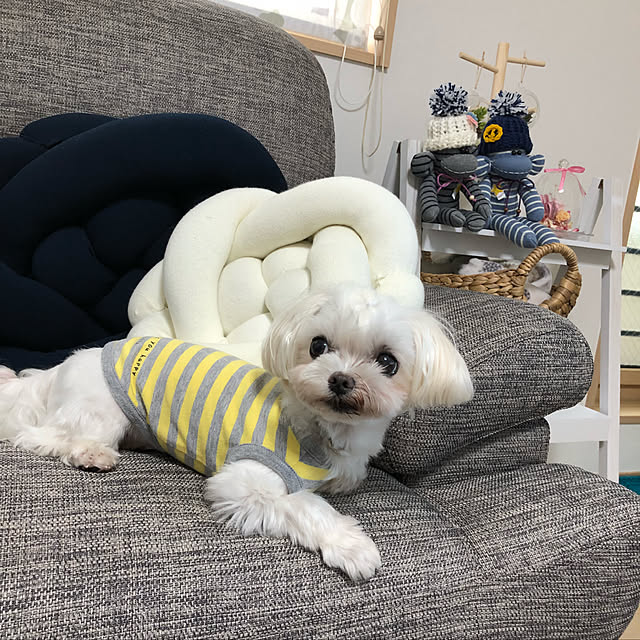 loliontoaliceveさんの実例写真