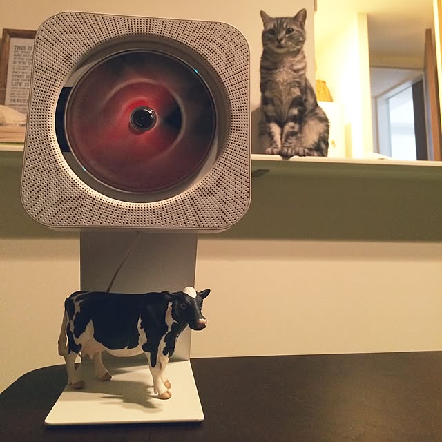 mikomaruさんの実例写真