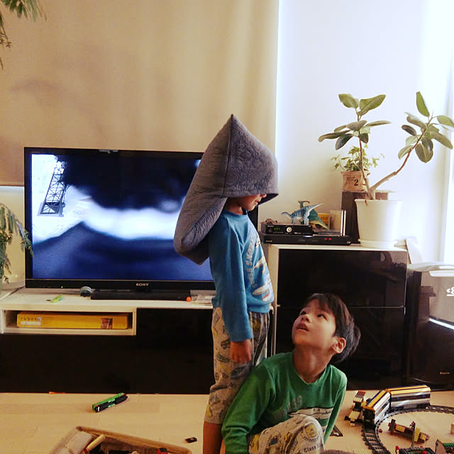 kestyukiさんの実例写真