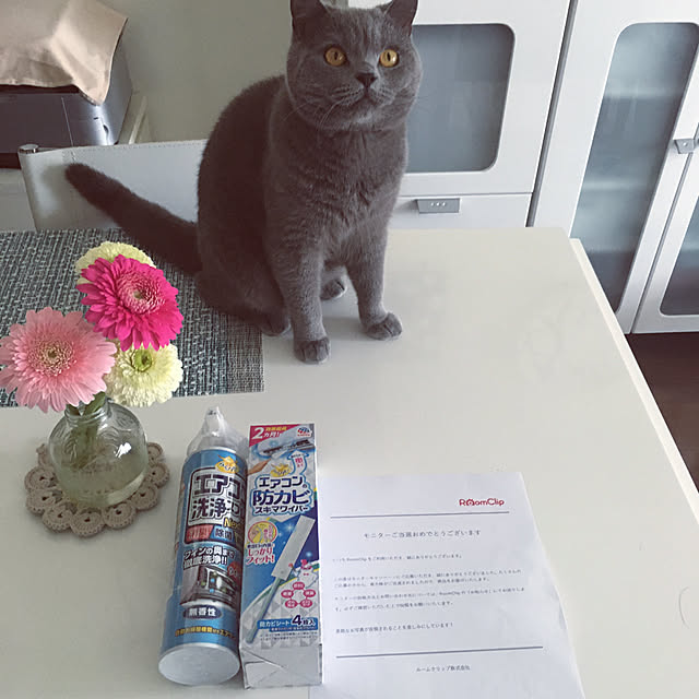 kittyさんの実例写真