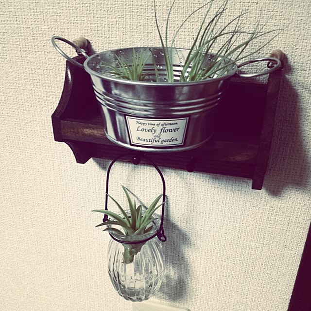chobiさんの実例写真