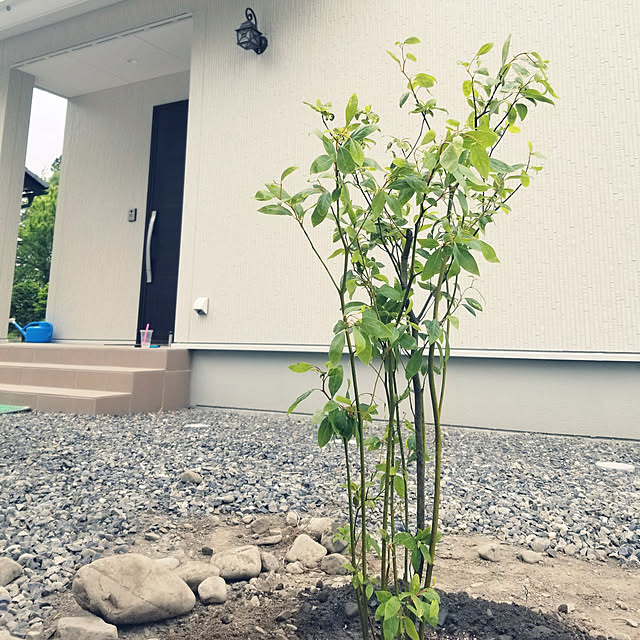 shimaaadsさんの実例写真
