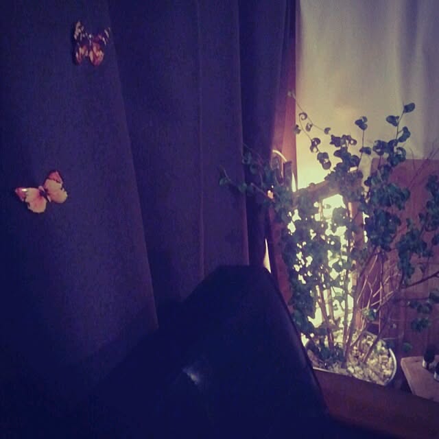 kapock__さんの実例写真