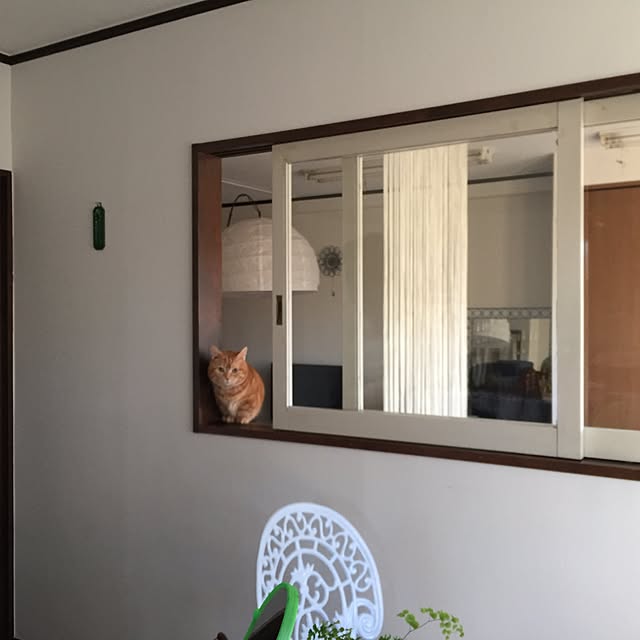 m.kantoh18_mikkoさんの実例写真