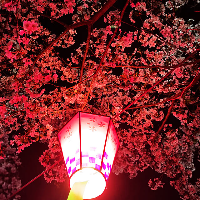 ayumiさんの部屋