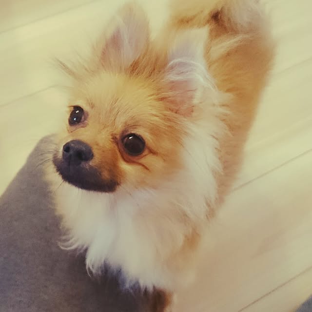 yu0625maさんの実例写真