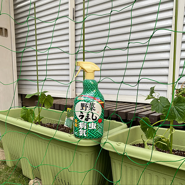 maronさんの実例写真