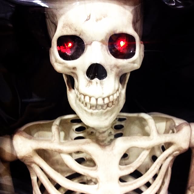 Mayumiさんの実例写真