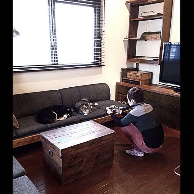 jnkaiさんの実例写真