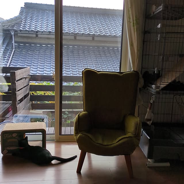 実例写真