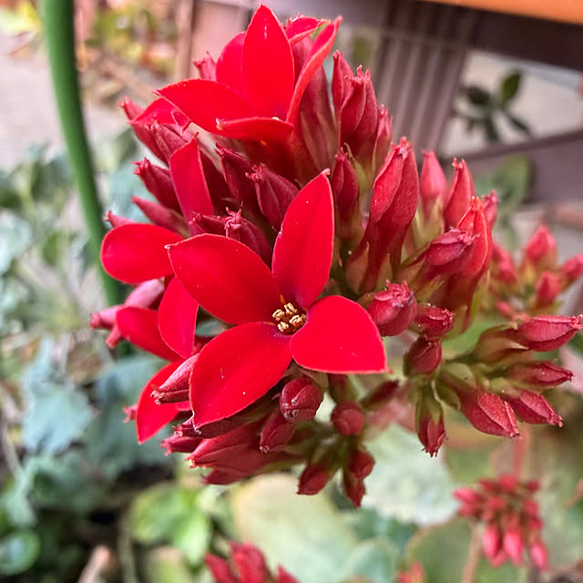 Aqettyさんの部屋