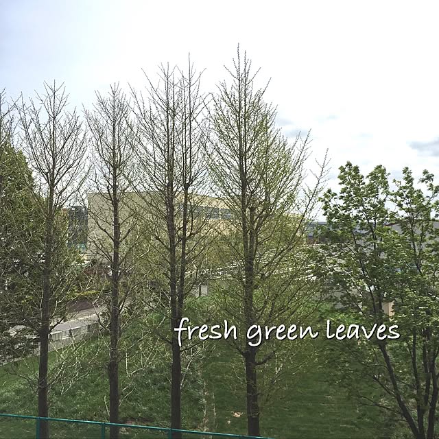 reeさんの実例写真
