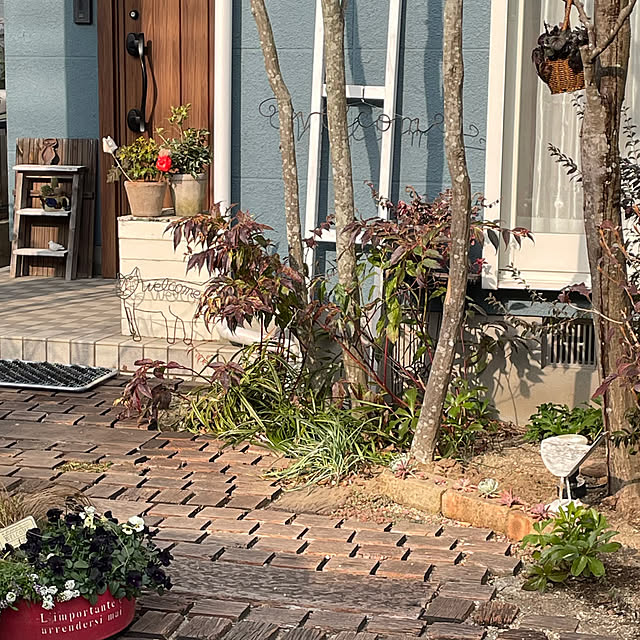 nobikoさんの部屋