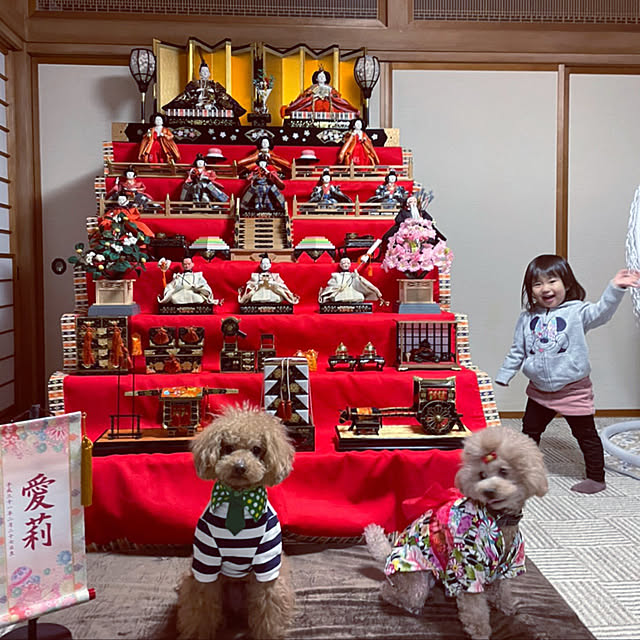 n_k6369さんの実例写真