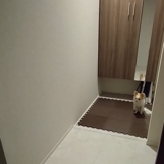 toratanさんの実例写真