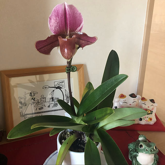 xiaohuai7788さんの実例写真
