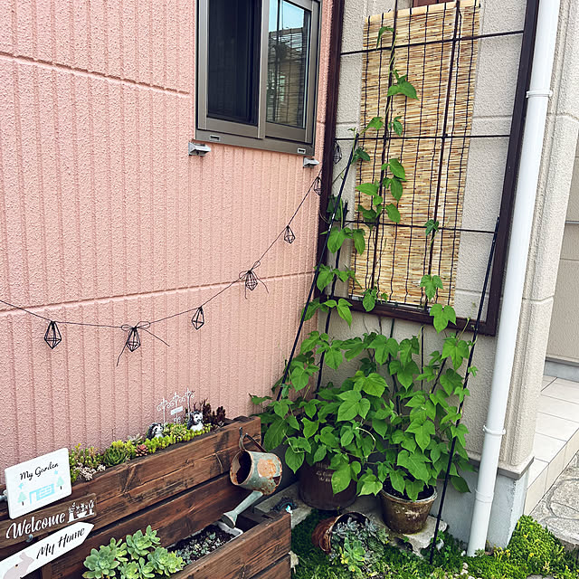 pekoさんの実例写真