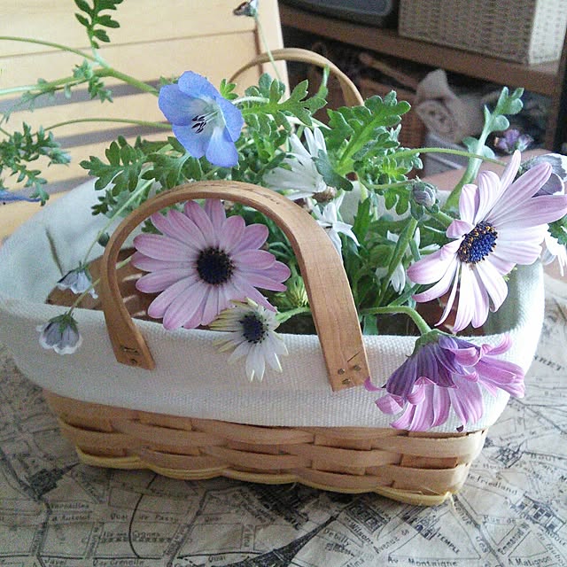 satokotokoさんの実例写真