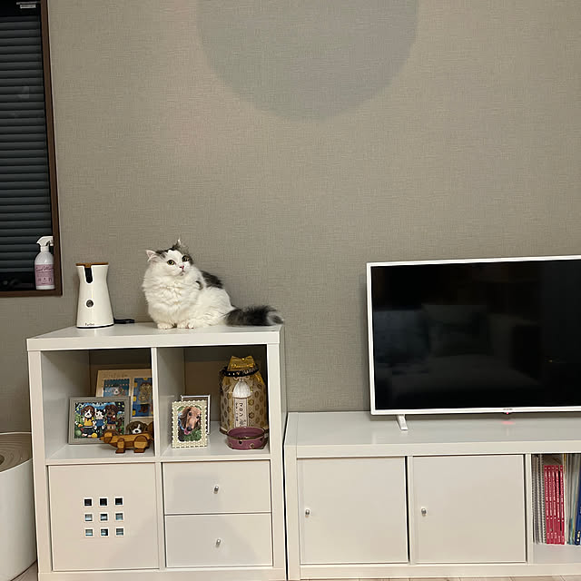 nyannyanさんの実例写真