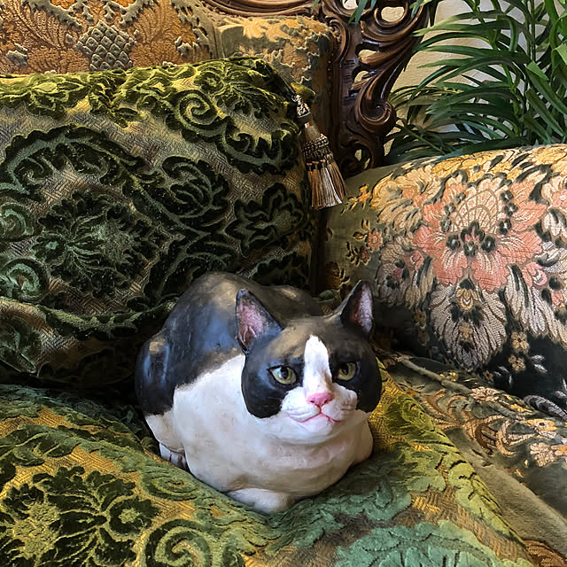 Toruさんの実例写真