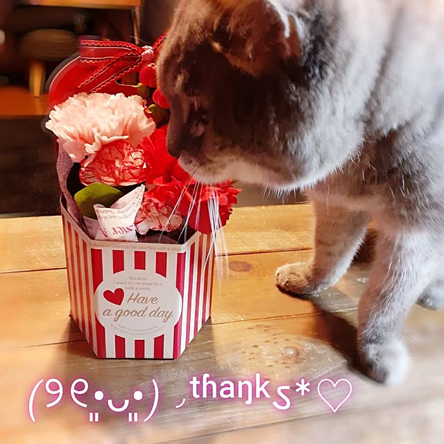 naoporonさんの部屋