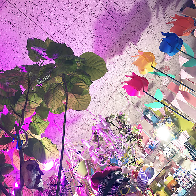 pochi3461さんの実例写真