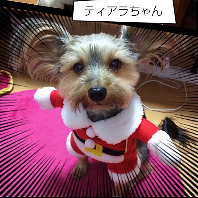 mayuさんの実例写真