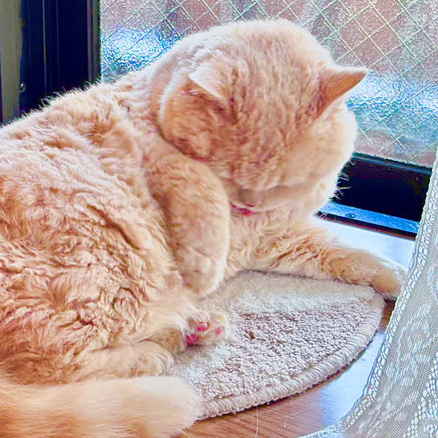 naokoさんの部屋