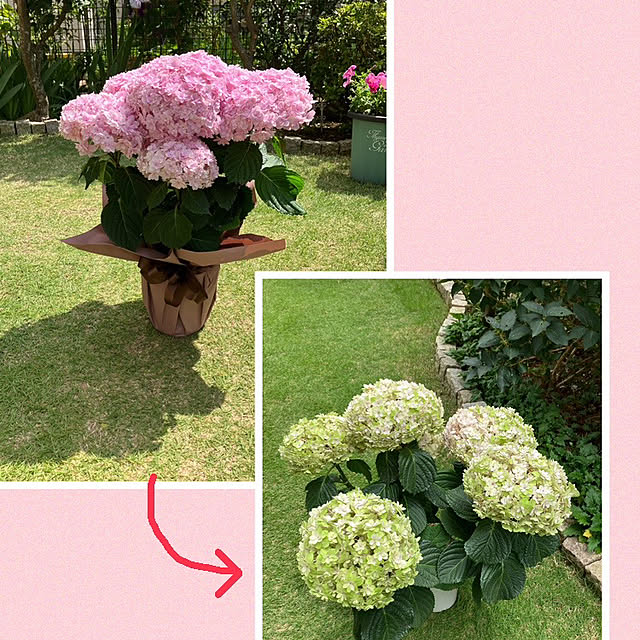 maron915さんの実例写真