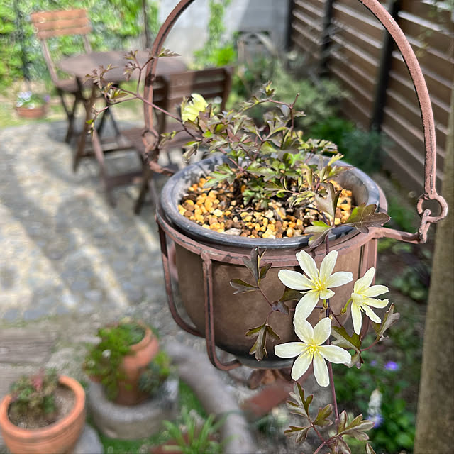 kuuさんの部屋
