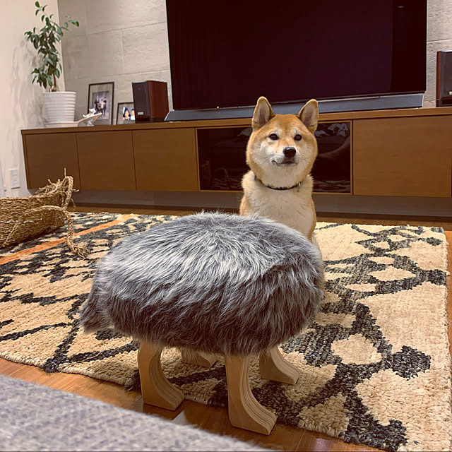 SAKIKOさんの実例写真