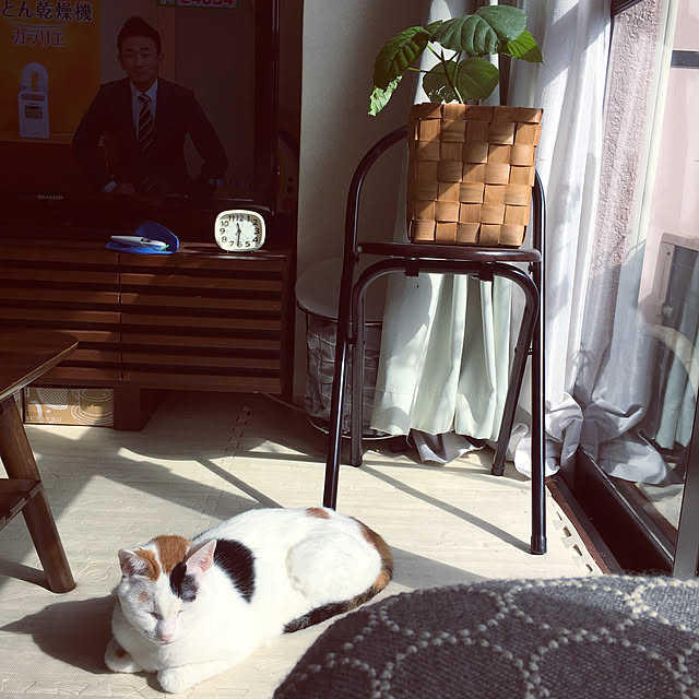 ichi.さんの実例写真