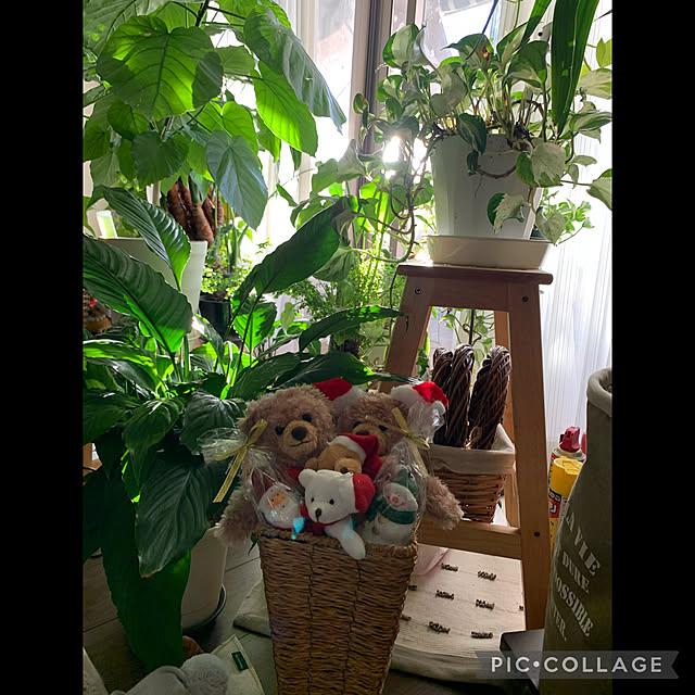 Aqettyさんの実例写真