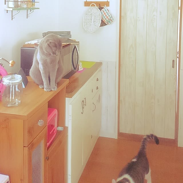 chako.さんの実例写真