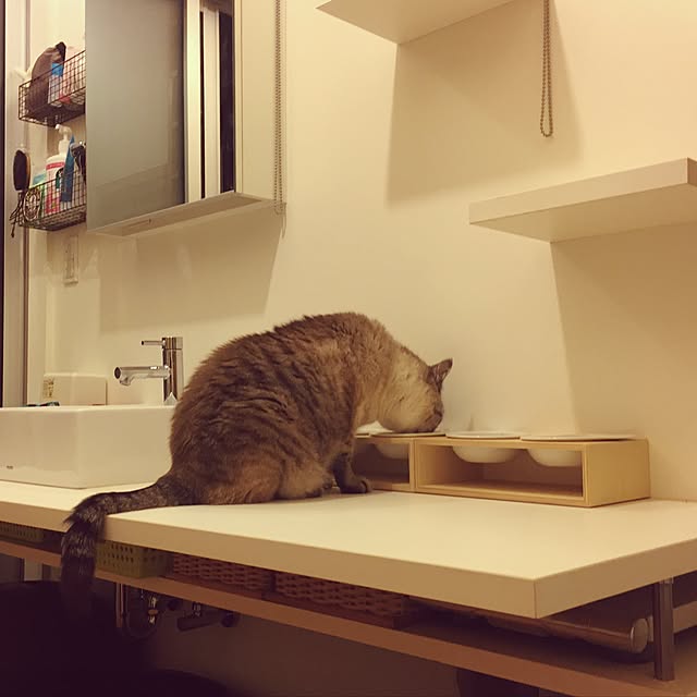 bamboobooCatDogさんの実例写真