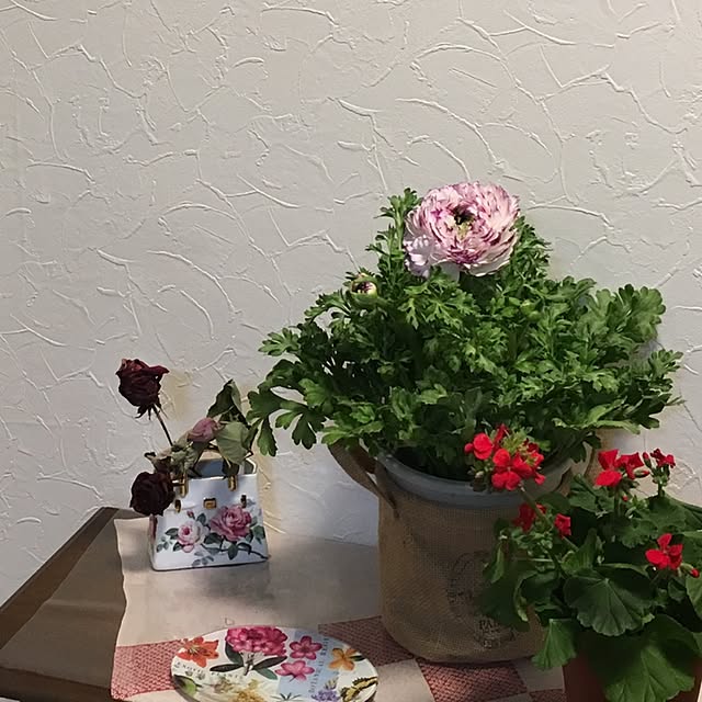 niconさんの実例写真