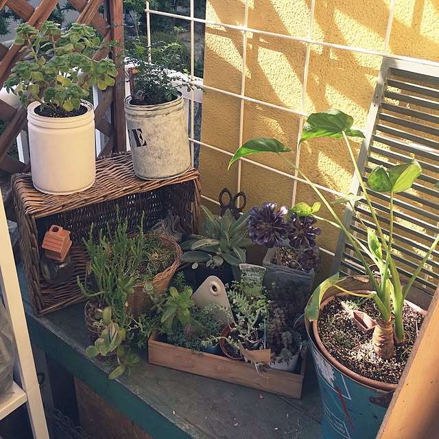 natulove0418さんの実例写真