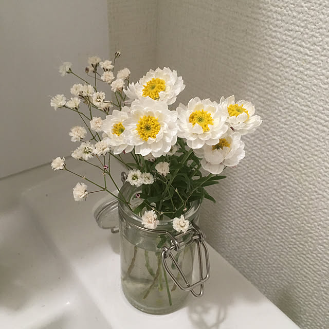 Ryokoさんの実例写真