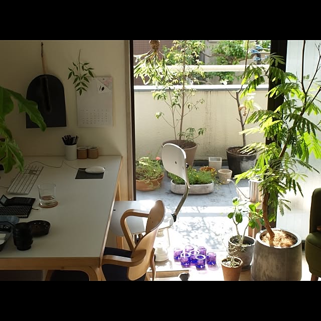 towaさんの実例写真
