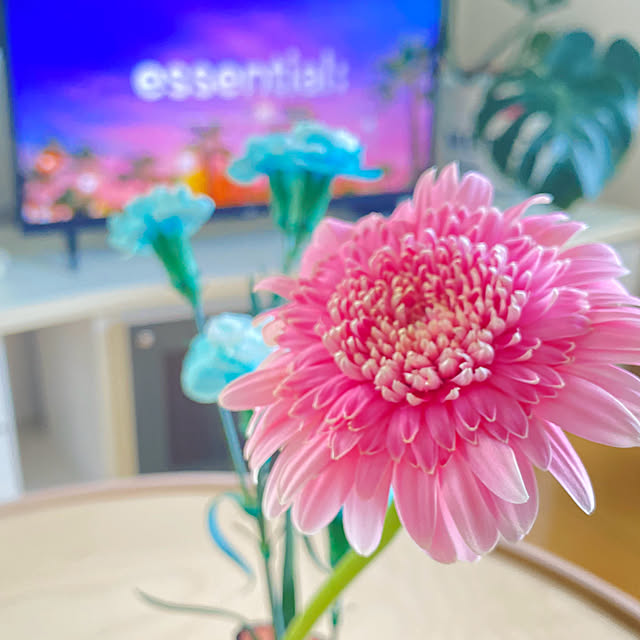 cocoさんの部屋