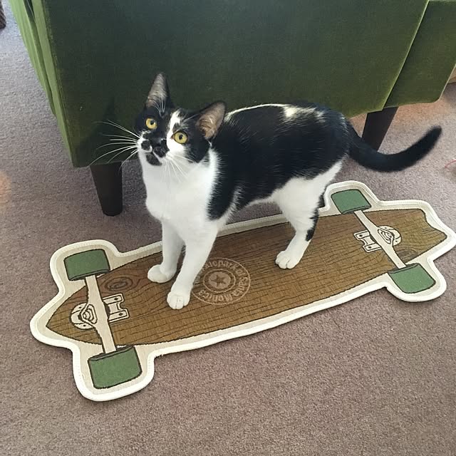 mikomaruさんの実例写真
