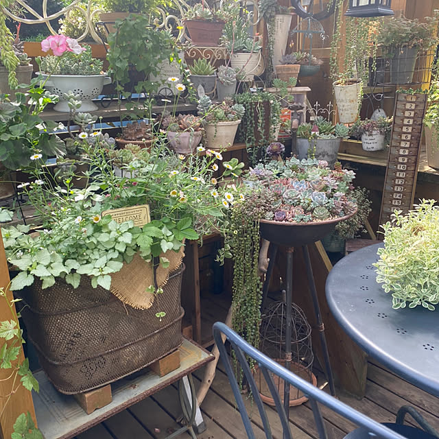 mintteaさんの部屋