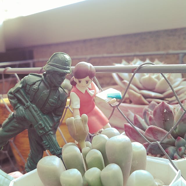 akr29さんの実例写真