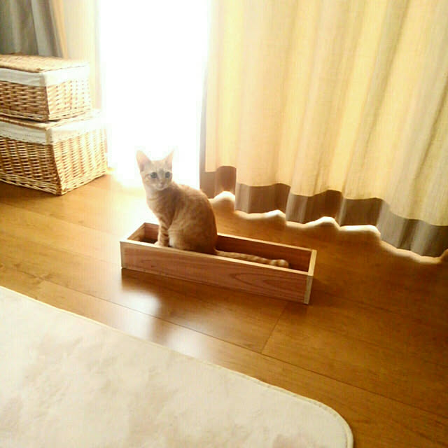 mayutan.さんの実例写真