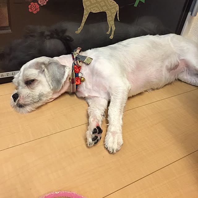 emiさんの実例写真