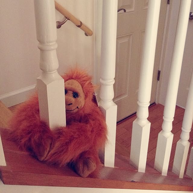 cinnamonさんの実例写真