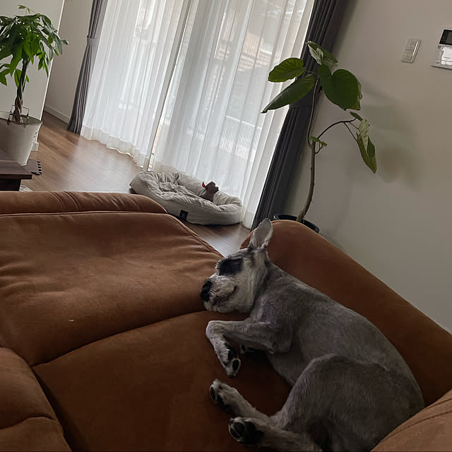 kuuさんの実例写真